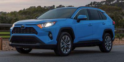 2019 Toyota RAV4 Vehicle Photo in Hollywood, FL 33021