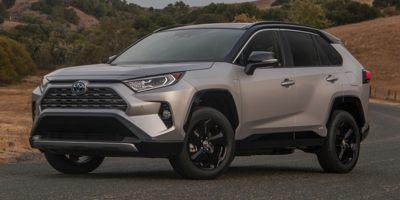 2019 Toyota RAV4 Vehicle Photo in Pinellas Park , FL 33781