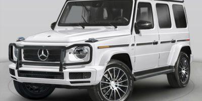 2019 Mercedes-Benz G-Class Vehicle Photo in Delray Beach, FL 33444