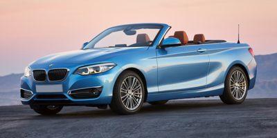 2020 BMW 230i Vehicle Photo in Wesley Chapel, FL 33544