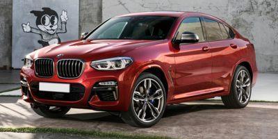 2020 BMW X4 xDrive30i Vehicle Photo in Wesley Chapel, FL 33544