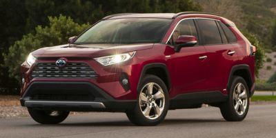 2020 Toyota RAV4 Vehicle Photo in Clearwater, FL 33761