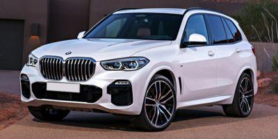 2020 BMW X5 xDrive40i Vehicle Photo in SELMA, TX 78154-1459