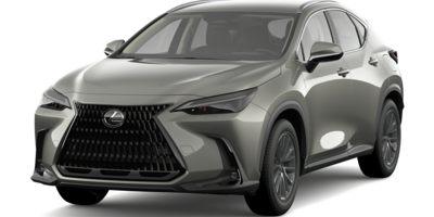 2022 Lexus NX 250 Vehicle Photo in Clearwater, FL 33761