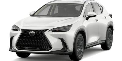 2022 Lexus NX 350 Vehicle Photo in Clearwater, FL 33761