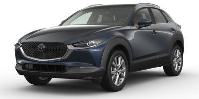 2022 Mazda CX-30 Vehicle Photo in Tampa, FL 33614