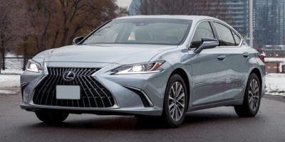 2022 Lexus ES 250 Vehicle Photo in Appleton, WI 54913