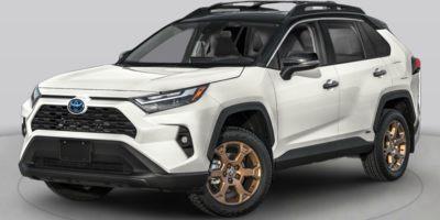 2023 Toyota RAV4 Vehicle Photo in Davie, FL 33331