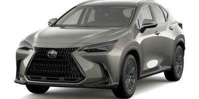 2024 Lexus NX 450h+ Vehicle Photo in Tampa, FL 33614