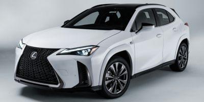 2024 Lexus UX 250h Vehicle Photo in Clearwater, FL 33761