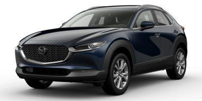 2024 Mazda CX-30 Vehicle Photo in Green Bay, WI 54304