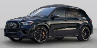 2025 Mercedes-Benz GLE Vehicle Photo in Delray Beach, FL 33444