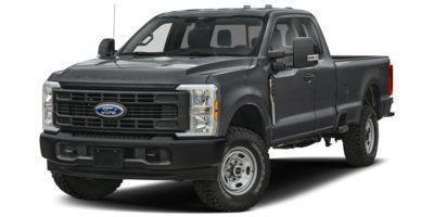 2025 Ford Super Duty F-250 SRW Vehicle Photo in Neenah, WI 54956