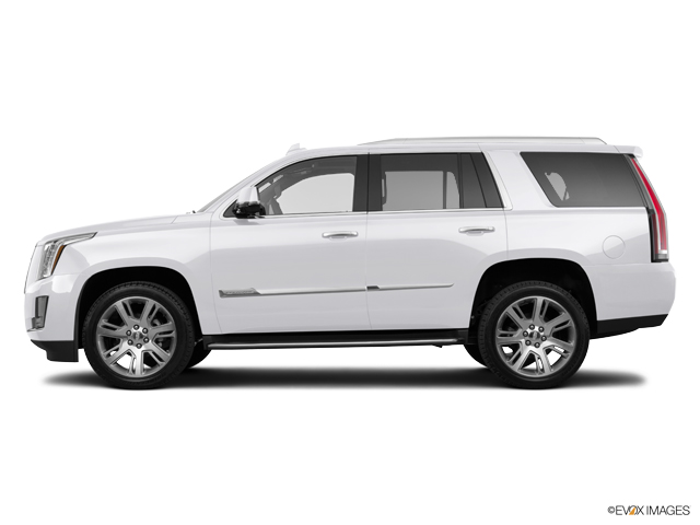 2016 Cadillac Escalade Vehicle Photo in KANSAS CITY, MO 64114-4545