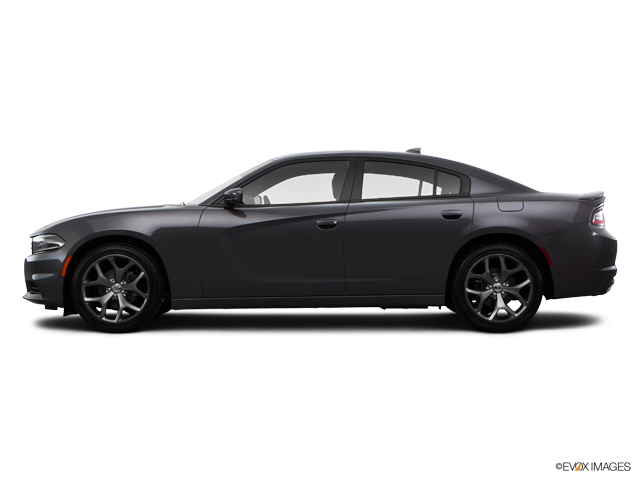 2016 Dodge Charger Vehicle Photo in POOLER, GA 31322-3252