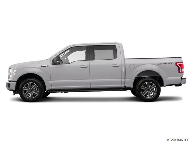 2017 Ford F-150 Vehicle Photo in Bluffton, SC 29910