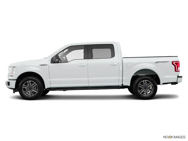 2017 Ford F-150 Vehicle Photo in Statesboro, GA 30458