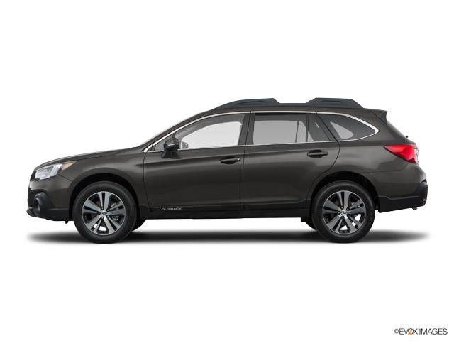 2019 Subaru Outback Vehicle Photo in Trevose, PA 19053