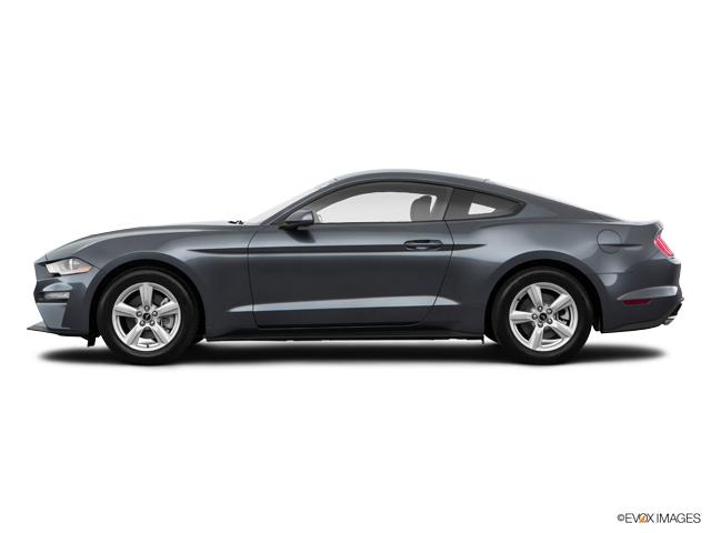 2019 Ford Mustang Vehicle Photo in Hinesville, GA 31313