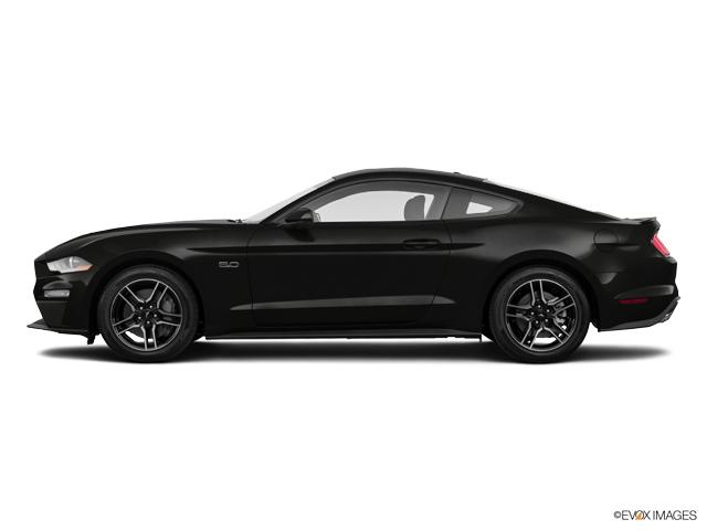 2019 Ford Mustang Vehicle Photo in TOPEKA, KS 66609-0000