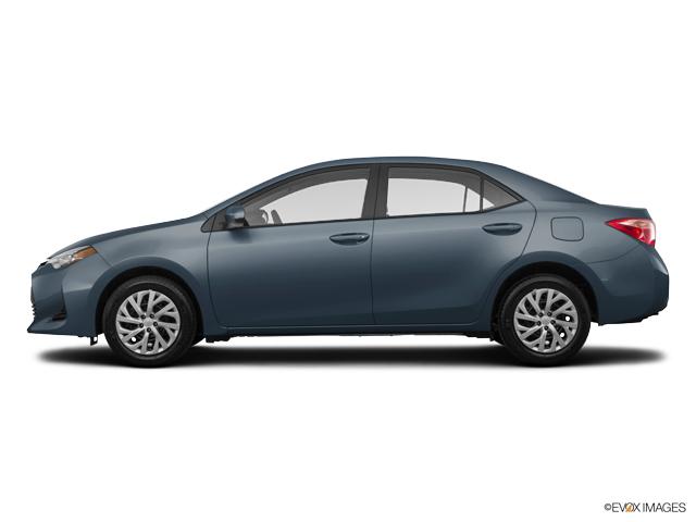 2019 Toyota Corolla Vehicle Photo in Lees Summit, MO 64086