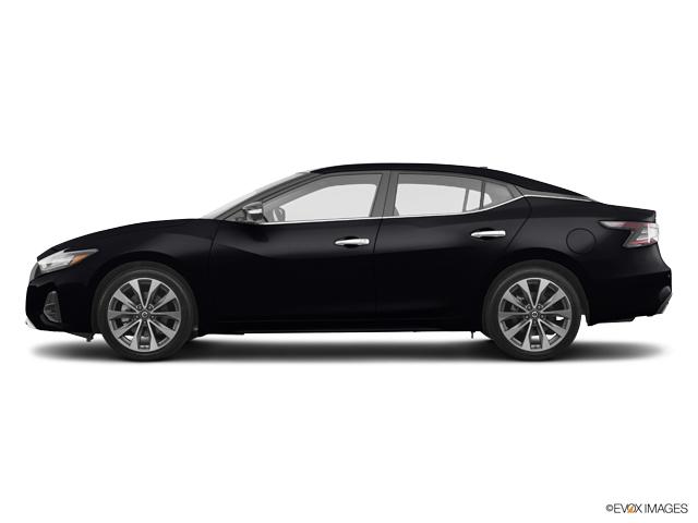 2019 Nissan Maxima Vehicle Photo in Hinesville, GA 31313