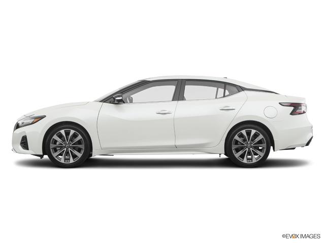 2019 Nissan Maxima Vehicle Photo in Savannah, GA 31419