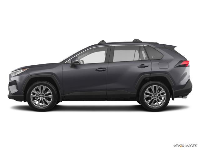 2019 Toyota RAV4 Vehicle Photo in Lees Summit, MO 64086