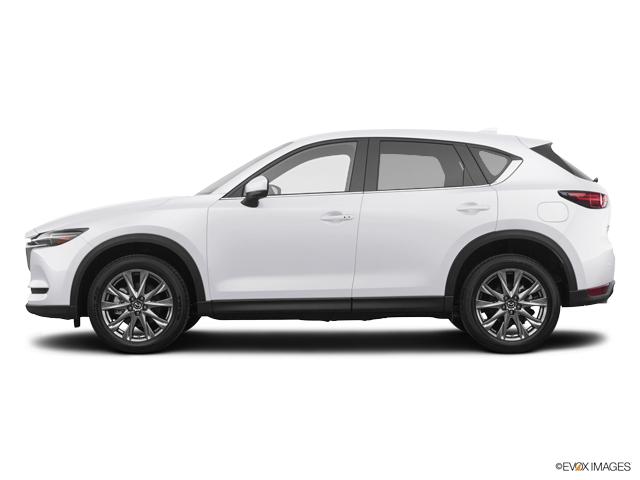 2019 Mazda CX-5 Vehicle Photo in Lees Summit, MO 64086