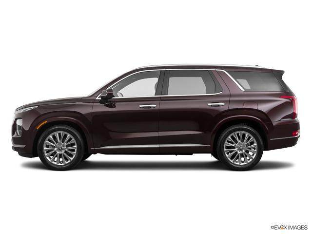 2020 Hyundai PALISADE Vehicle Photo in BEAUFORT, SC 29906-4218