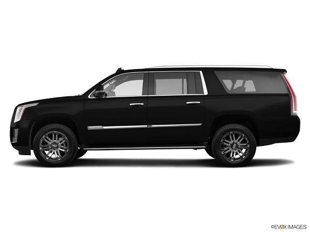 2020 Cadillac Escalade ESV Vehicle Photo in KANSAS CITY, MO 64114-4545