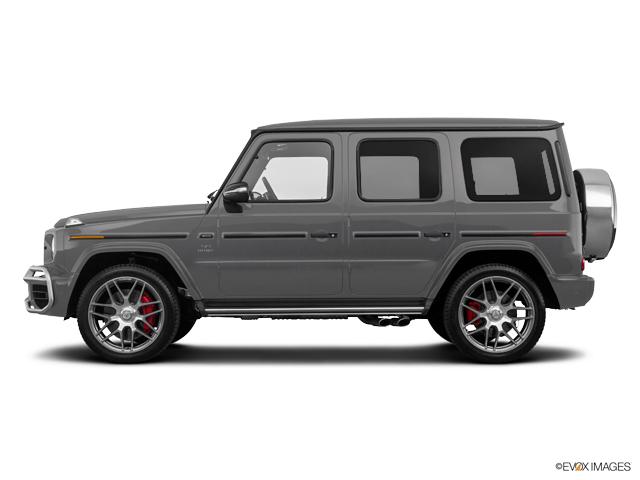 2019 Mercedes-Benz G-Class Vehicle Photo in BETHLEHEM, PA 18017-9401