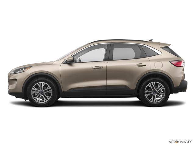 2020 Ford Escape Vehicle Photo in Lees Summit, MO 64086