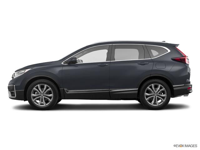 2020 Honda CR-V Vehicle Photo in Easton, PA 18045