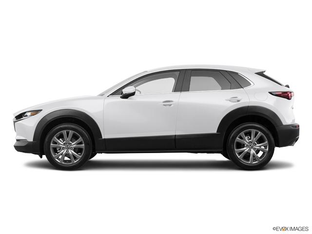 2021 Mazda CX-30 Vehicle Photo in Lees Summit, MO 64086