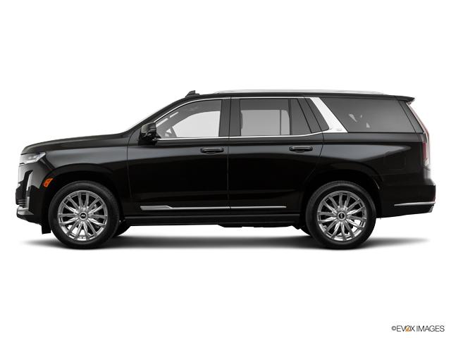 2023 Cadillac Escalade Vehicle Photo in KANSAS CITY, MO 64114-4545