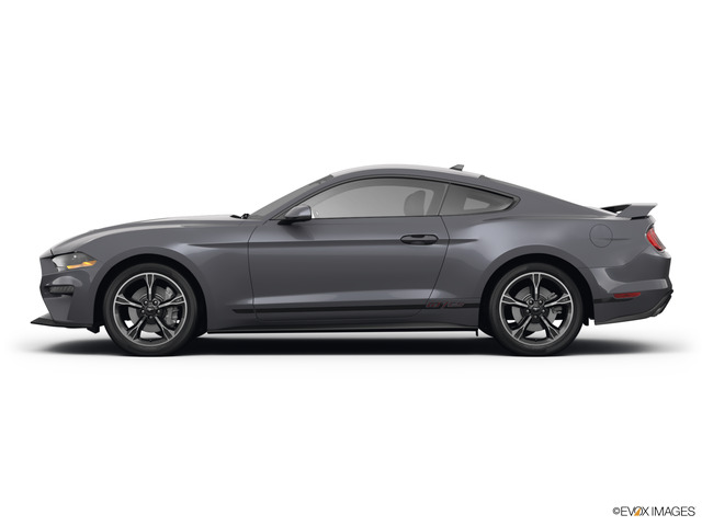 2022 Ford Mustang Vehicle Photo in Brunswick, GA 31525
