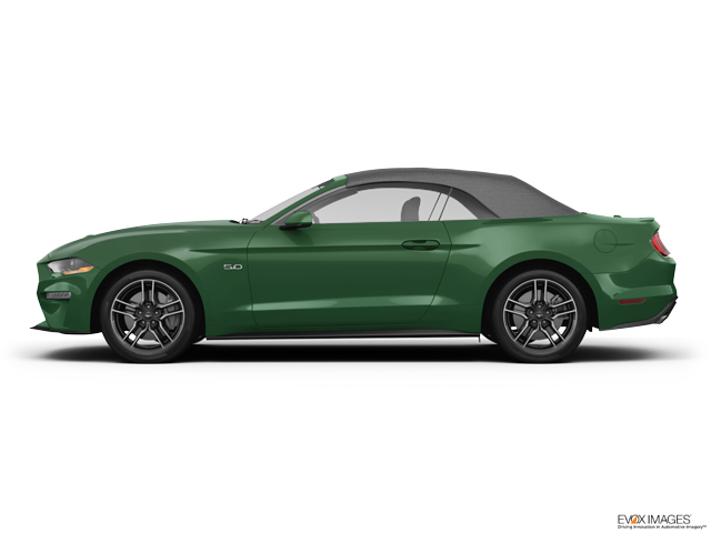 2023 Ford Mustang Vehicle Photo in Savannah, GA 31419