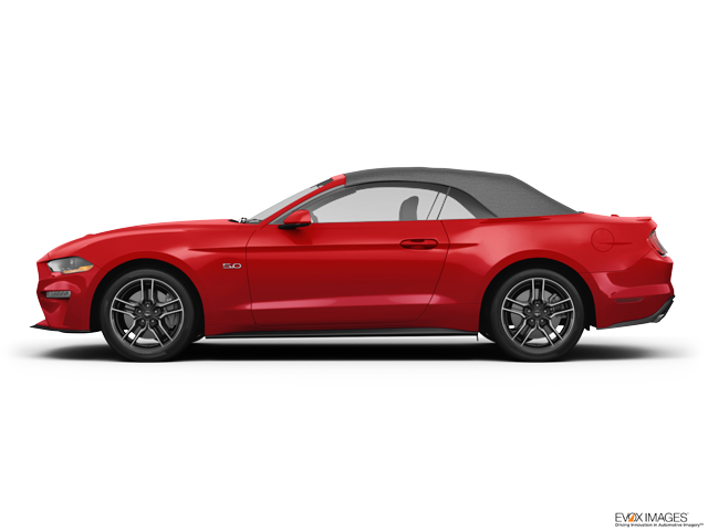 2023 Ford Mustang Vehicle Photo in BEAUFORT, SC 29906-4218