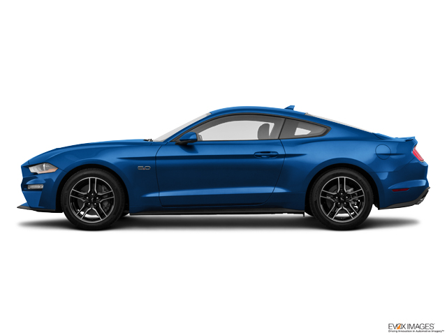 2023 Ford Mustang Vehicle Photo in Easton, PA 18045