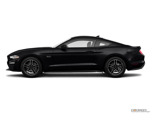 2023 Ford Mustang Vehicle Photo in Lees Summit, MO 64086