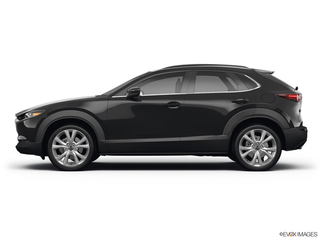2023 Mazda CX-30 Vehicle Photo in Easton, PA 18045