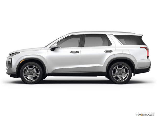 2023 Hyundai PALISADE Vehicle Photo in Statesboro, GA 30458