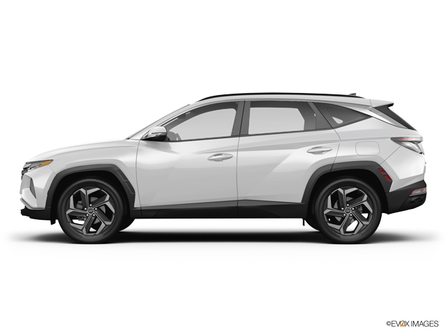 2024 Hyundai TUCSON Vehicle Photo in Lees Summit, MO 64086