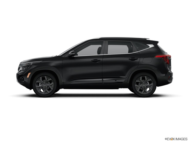2024 Kia Seltos Vehicle Photo in Lees Summit, MO 64086