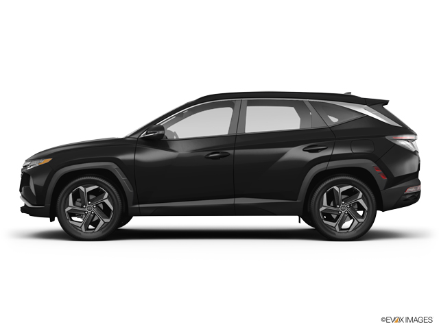2024 Hyundai TUCSON Vehicle Photo in BEAUFORT, SC 29906-4218