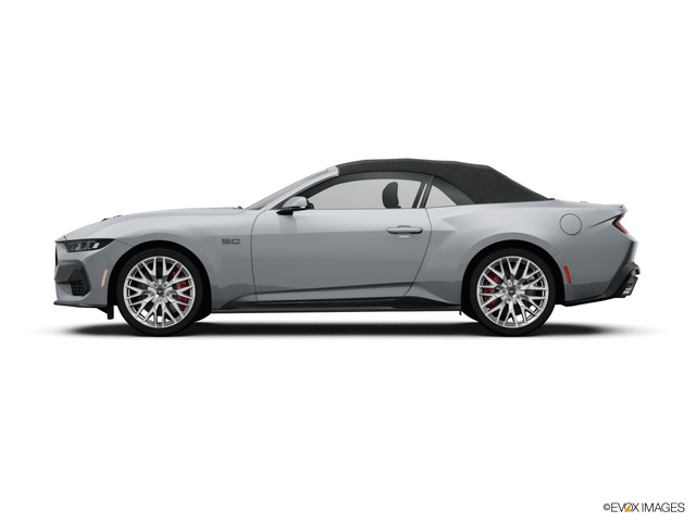2024 Ford Mustang Vehicle Photo in Savannah, GA 31419