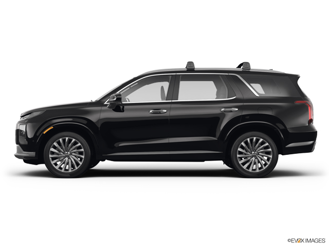 2024 Hyundai PALISADE Vehicle Photo in Brunswick, GA 31525