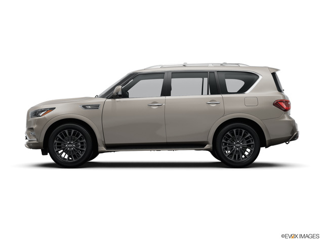 2024 INFINITI QX80 Vehicle Photo in Willow Grove, PA 19090