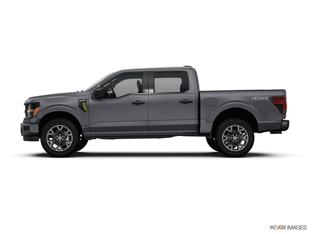 2024 Ford F-150 Vehicle Photo in Savannah, GA 31419